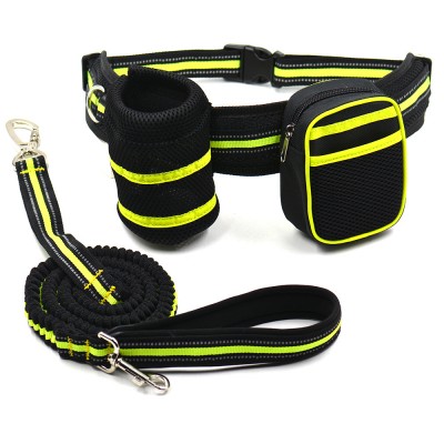 Adjustable Reflective Nylon Hands Free Dog Bungee Leash